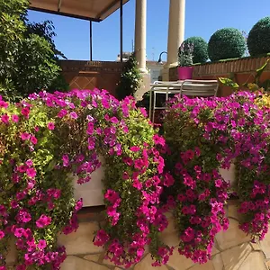 With Private Patio Fuengirola